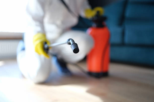 Best Crawl Space Mold Remediation  in Garberville, CA